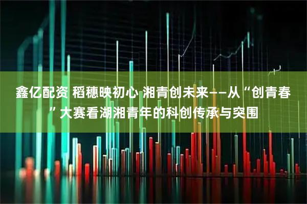 鑫亿配资 稻穗映初心 湘青创未来——从“创青春”大赛看湖湘青年的科创传承与突围